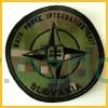 ZNAK NATO FORCE INTEGRATION UNIT